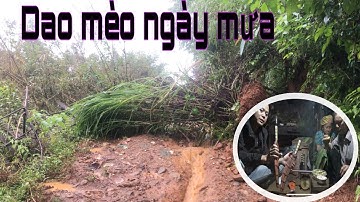 TIẾP TỤC những cây dao của Tồng dao mèo tây bắc || ban trắng tv