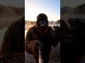 Bigfoot Tells Dad Jokes at Sunrise by the Lake