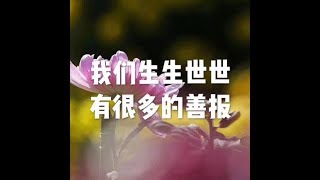 201711 我们生生世世有很多的善报22725