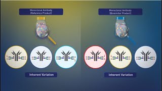 Biosimilars: Manufacturing and Inherent Variation