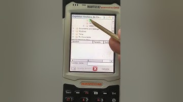 Exportar Datos FielGenius