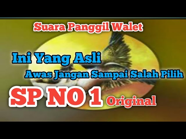 Suara Walet SP NO 1 original link ada di deskripsi class=