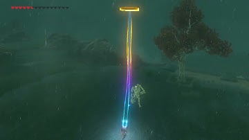 [DAY 555] of finding one korok seed everyday until Botw2 comes out