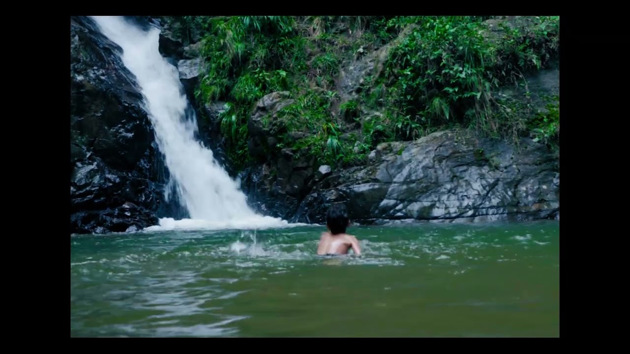 CARTA FÍLMICA - David Rodriguez