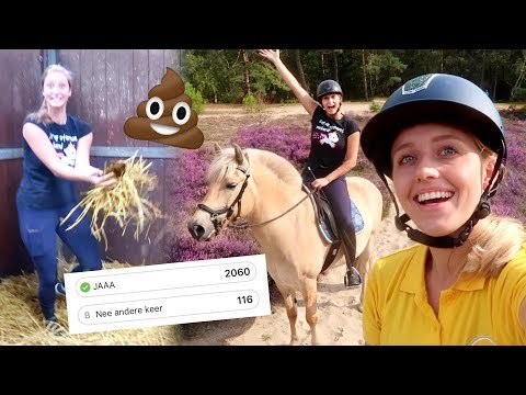 NAAR DE DUINEN? KIJKERS BEPALEN MIJN DAG! | Vlog #175