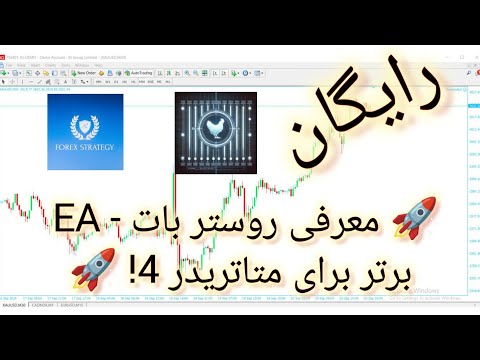 معرفی روستر بات  برتر برای متاتریدر 4