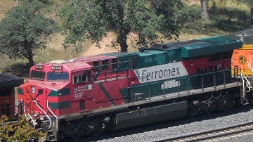 BNSF Freight train at Tehachapi Loop with *RARE* Ferromex Locomotive