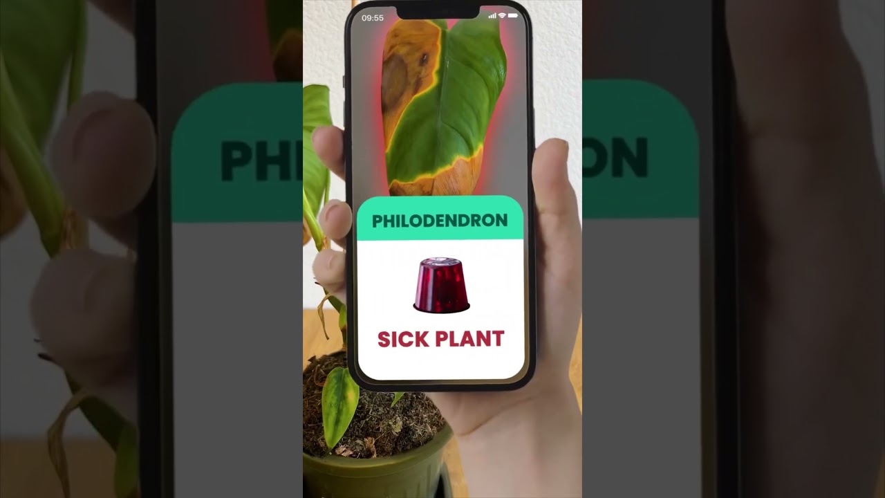 Best Plant Identifier & Care App