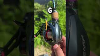 I got this BFS Reel for UNDER $50!