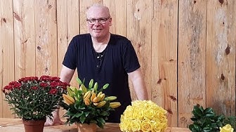 Floral Design Brasil  Participações na TV