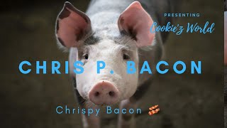 Chris P Bacon news anchor reporter looses control laughs at name of pig #cookiezworld #funny Information