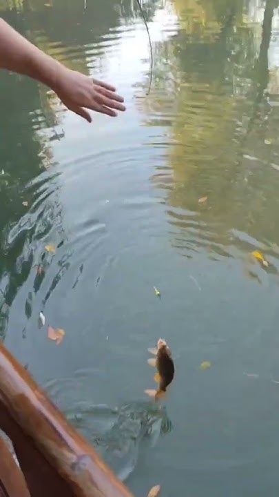 Китайские катушки такие... #рыбалкаташкент - YouTube