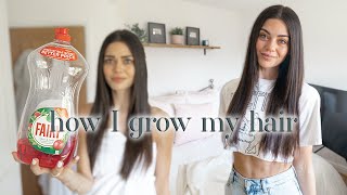 How to get long hair FAST! All products under $10 2021