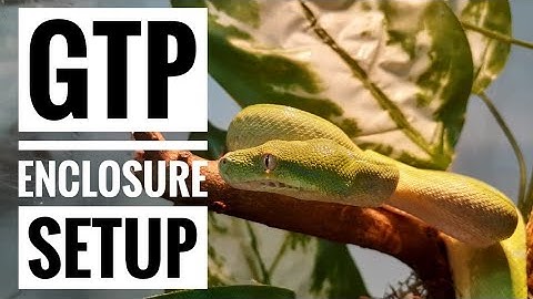 GUIDE TO SETTING UP A GREEN TREE PYTHON ENCLOSURE