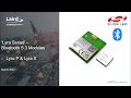 Introduction  lyra series bluetooth 53 modules