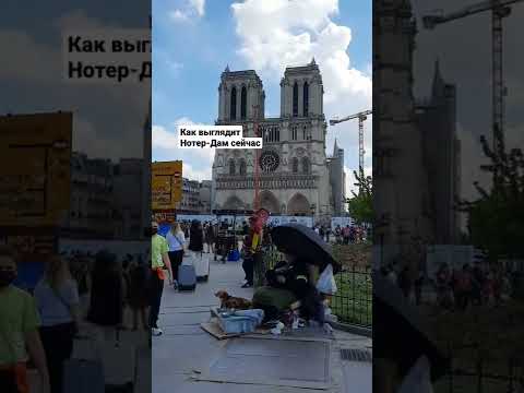 Видео: Катедралата Нотр Дам де Дом описание и снимки - Франция: Авиньон