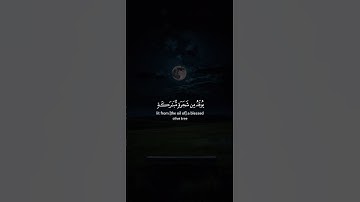 اكتب شيء تؤجر عليه 😴💚 قران كريم | ياسر الدوسري