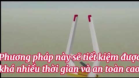 Cầu Nhật Tân, cầu dây văng dài nhất Việt Nam?