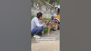 URGENT: Help us keep rescuing lives 🐾 Every second counts #rescueefforts #rescuedog #adoptionrocks