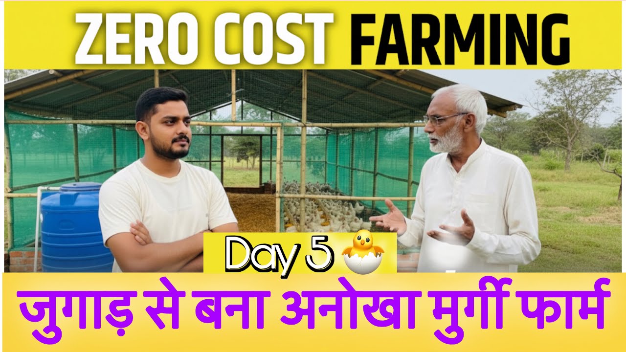 कम से कम खर्चे में कैसे बनाए पोल्ट्री फार्म | Poultry Farming #murgipalanvideo #poultryfarm #APgroup
