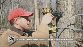 Maple Syrup: Tapping into the Science (Overview)