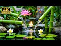 Relaxing Spa Music & Nature Sounds | Bamboo Water Relaxation for Deep Meditation & Healing Music