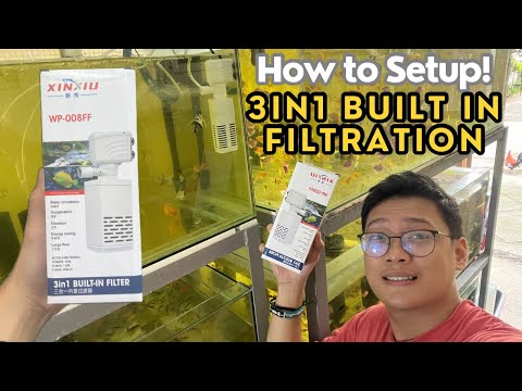 How to setup 3in1 Built in Filter | EFFECTIVE NGA BA? | - YouTube