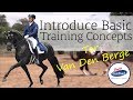 How to introduce basic training concepts to young Dressage horses with Tor Van Den Berge