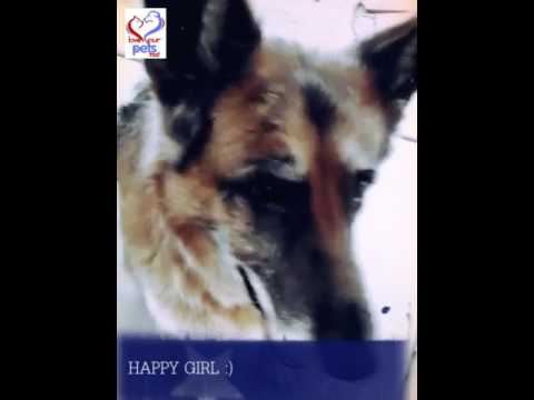 camera iphone 8 plus apk Terrific Thursday with Lexi :)