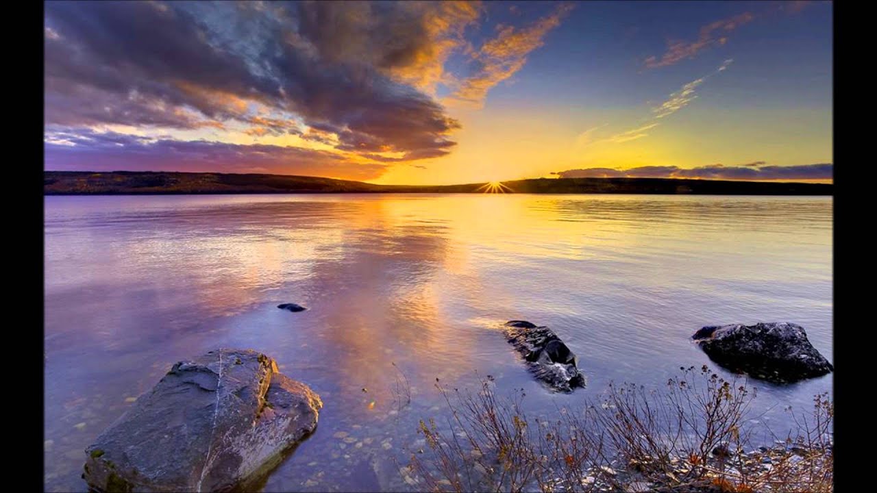 Signfield   - Future Sound Of Ibiza