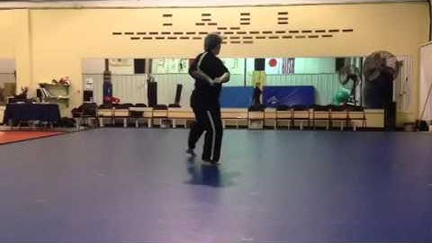 Pyong An Sahm Dan Reverse Angle