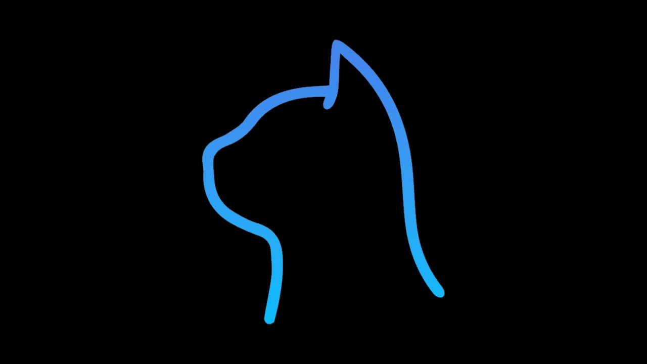 PURRFECTION | Exhibit 07 | Melodic Techno & Progressive House | VASHO