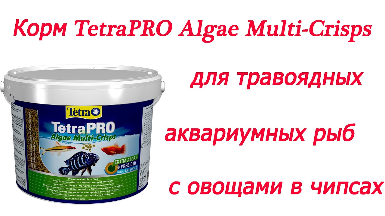 Корм TetraPRO Algae Multi-Crisps для травоядных аквариумных рыб с овощами в чипсах