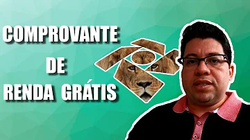 Como tirar o comprovante de Renda pela internet?