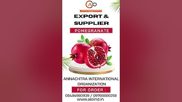 अनार एक्सपोर्ट - डाळिंब निर्यात - Pomegranate Export - Annachtra International Organisation LLP |