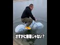 【神回】TikTokにアフレコしてツッコんでみたらヤバかったwwwwwwwwwwww【第1315弾】 #shorts #ボケとツッコミ #爆笑 #tiktok #ツッコミ