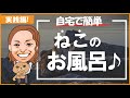 【猫のお風呂のコツ】おうちでシャンプーをする時の簡単スピーディーなやり方やをご紹介！