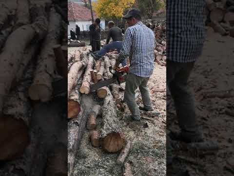 ÇAM MOTORUNU KONUŞTURAN