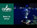 Best in Show and Presentation | Best In Show at Crufts 2023