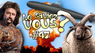 Le Saviez-Vous ? # 47 [Anecdotes Historiques et Insolites]