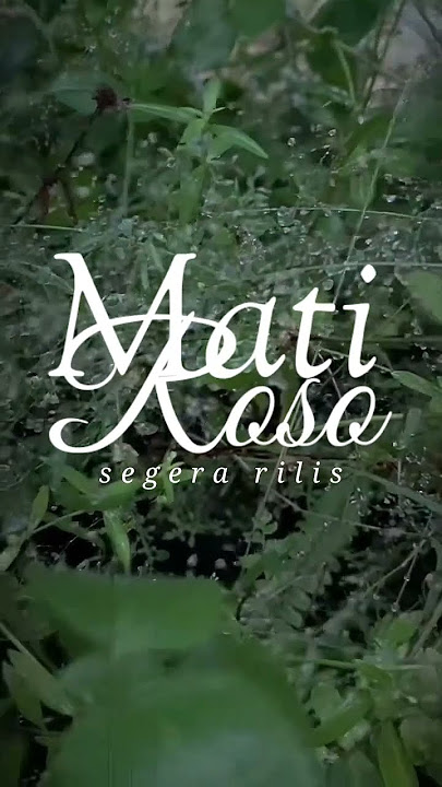 MATI ROSO (PAKDHE BAZ FT REZA TODAY) WES TAK TUTUP ROSO TRESNOKU ORA PENGEN NGRASAKNE LUKA YANG BARU