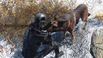 Fallout 4 - The Terminator Edition