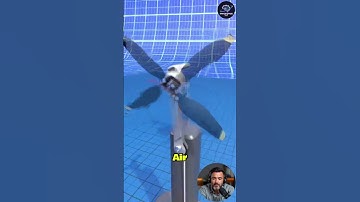 DJI Drone Motor Table Fan – The Ultimate Mini Beast for Cool Air! 💨⚙️ #Shorts