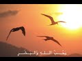 اغنية يمانيون آمنا