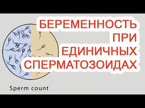 Беременность при единичных сперматозоидах / Доктор Черепанов