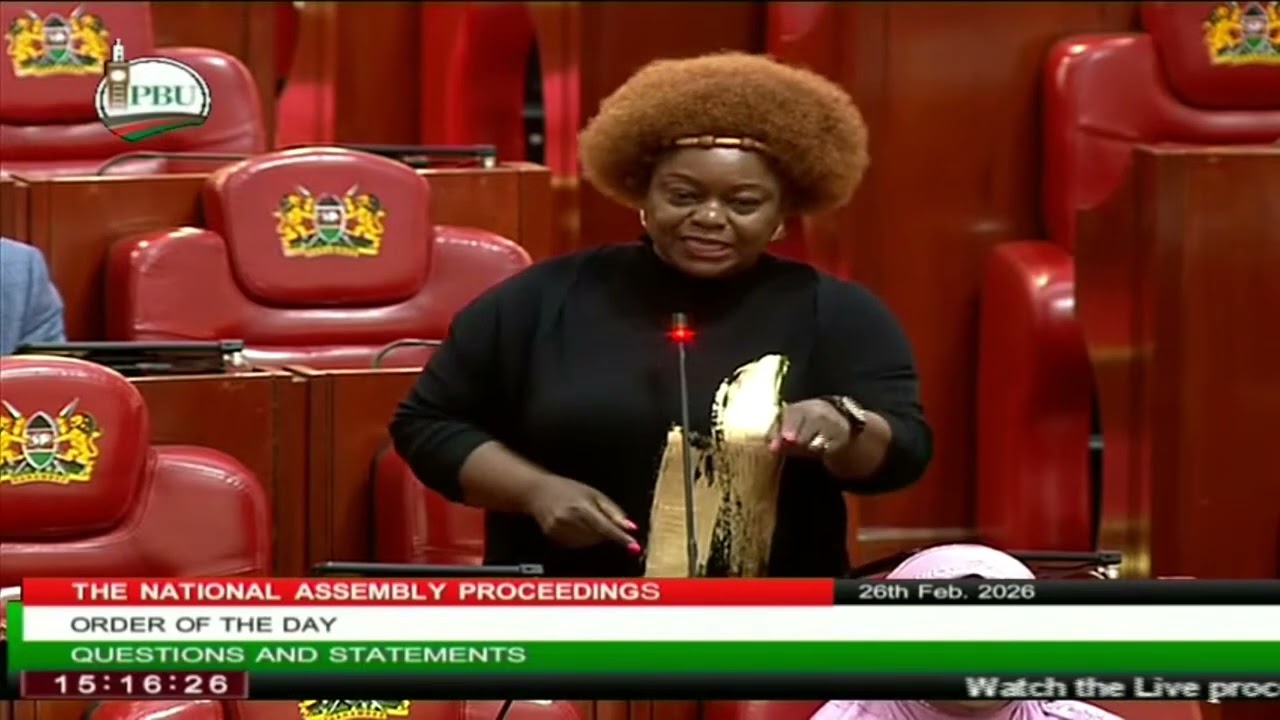 ANGRY MPs LECTURE GACHAGUA IN PARLIAMENT AFTER HIS REMARKS IN KISII ON MP ZHAEE