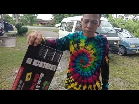 Cara mudah tangkap tikus yg jahat Cara mudah tangkap tikus yg jahat