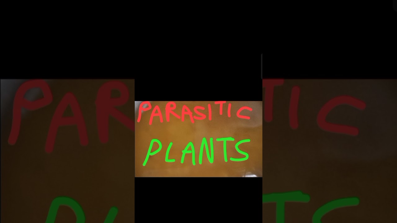 Parasitic Plants - Explained, Types & Examples 