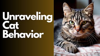 Decoding the Feline Enigma: Unraveling Cat Behavior