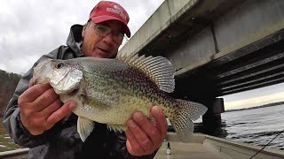 Secrets For Crappie Fishing Bridges! MONSTER CRAPPIE!!!